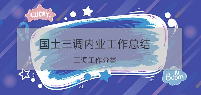 国土三调内业工作总结 三调工作分类？